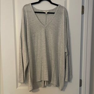 Terra & Sky Light Gray V-Neck Long Sleeve Top